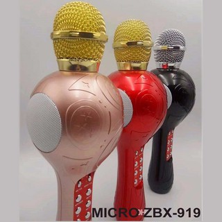 Micro bluetooth karaoke ZBX-919