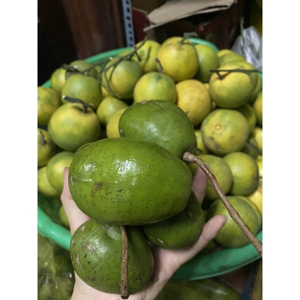 1Kg Cóc non/ Cóc lớn