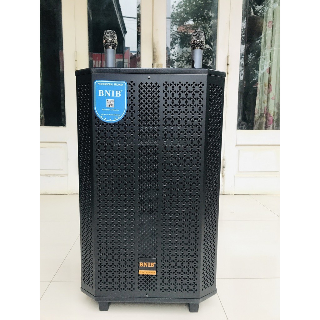 Loa kéo BNIB - Bass 40 vỏ gỗ cao cấp