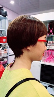 Toc giả tomboy