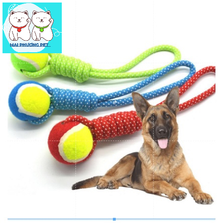 Đồ chơi chó mèo bóng tennis kèm dây thừng tập giằng