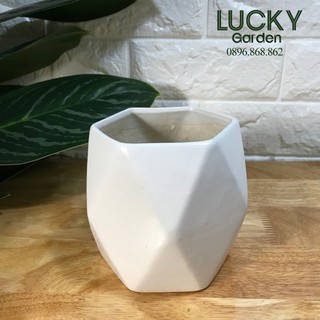 Chậu Gốm Sứ Bát Tràng Đa Giác