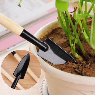 Bộ cuốc xẻng mini trồng cây cảnh 3 món