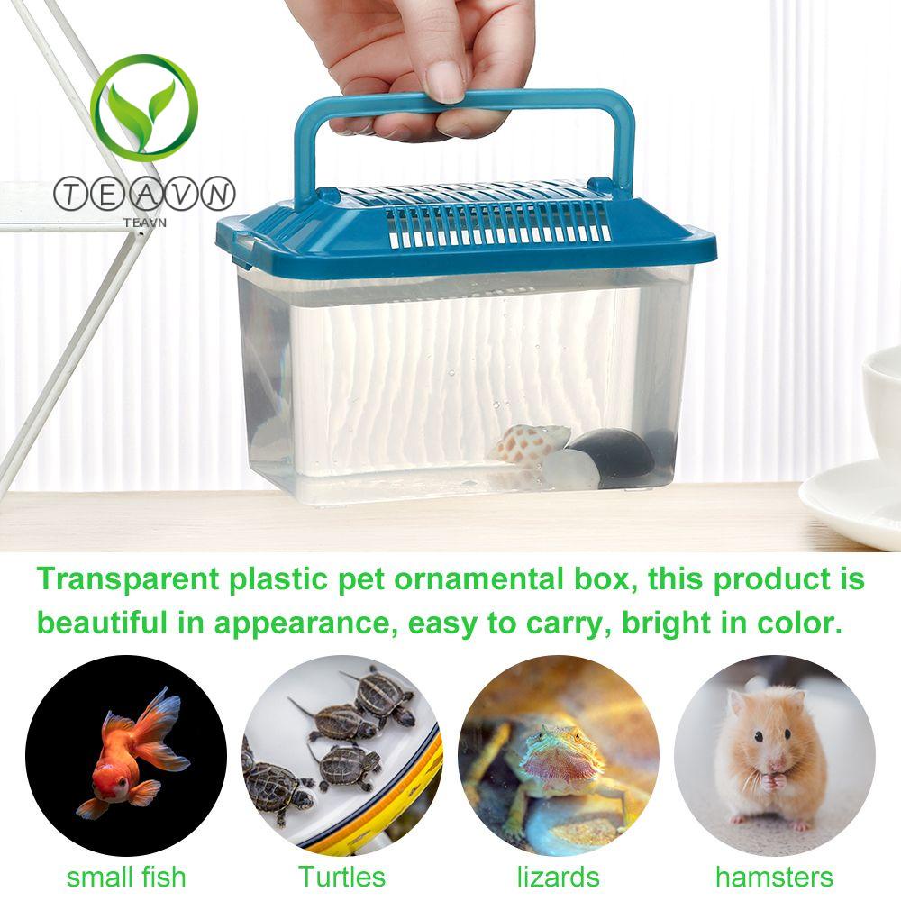 Hộp Nhựa Nuôi Chuột Hamster Chuyên Dụng|Lồng Nuôi Rùa Trong Suốt Tiện Lợi
