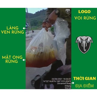 Mật ong rừng video nguồn gốc 1l