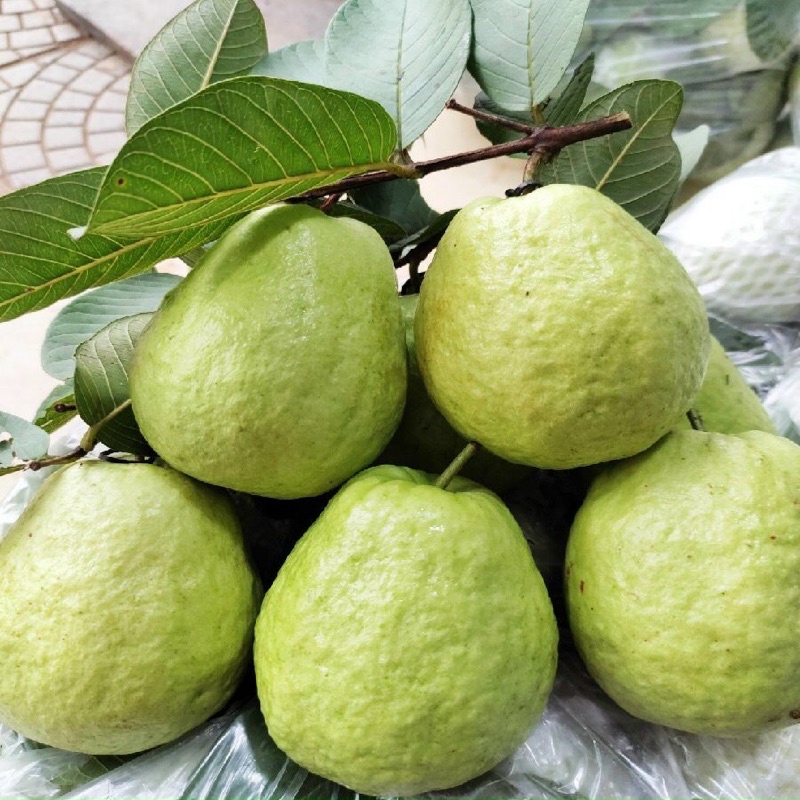 Ổi thanh hà