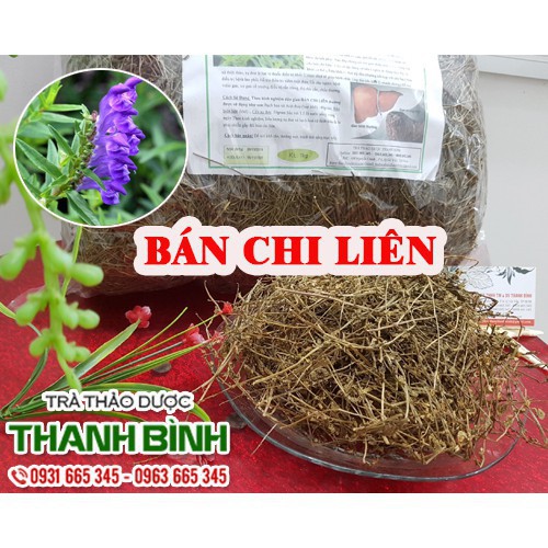 Combo 2kg Bán Chi Liên Khô Loại 1 Cao Cấp - Lương Y Thanh Bình