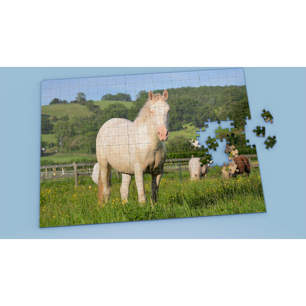 Tranh ghép hình HORSE - Mẫu 1 - Nhận in theo yêu cầu