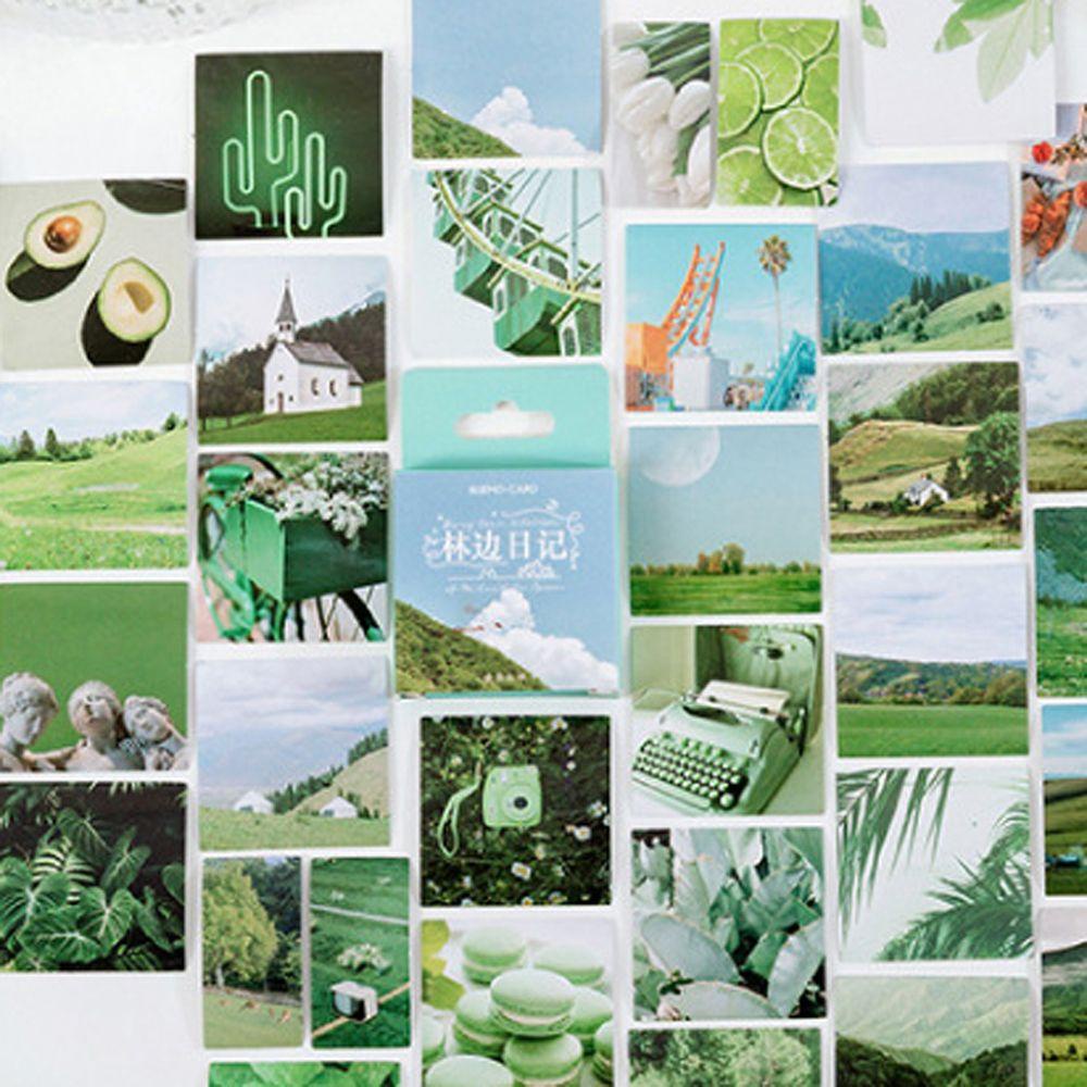 Miếng Dán Trang Trí Sổ Tay Hình Khu Rừng Dễ Thương