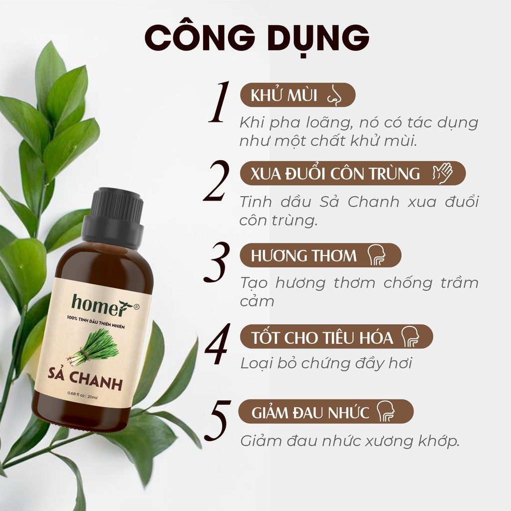 Tinh dầu Sả chanh Việt Nam Homer - Lemongrass Essential Oil - đạt chuẩn chất lượng kiểm định