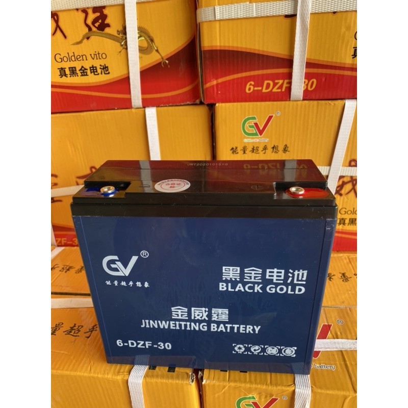 Ắc Quy Xe điện 12V 30AH