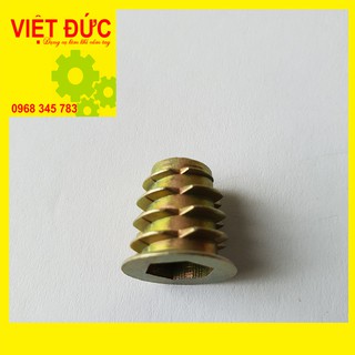 Túi ốc cấy gỗ phi 8 - 100 con