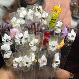 199k Compo 50 Hoa bột Fantasy  các  loại