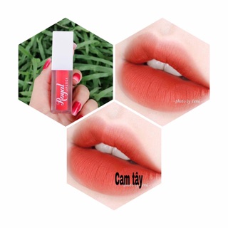 Son kem lì ROYAL LIPSTICk - màu cam tây