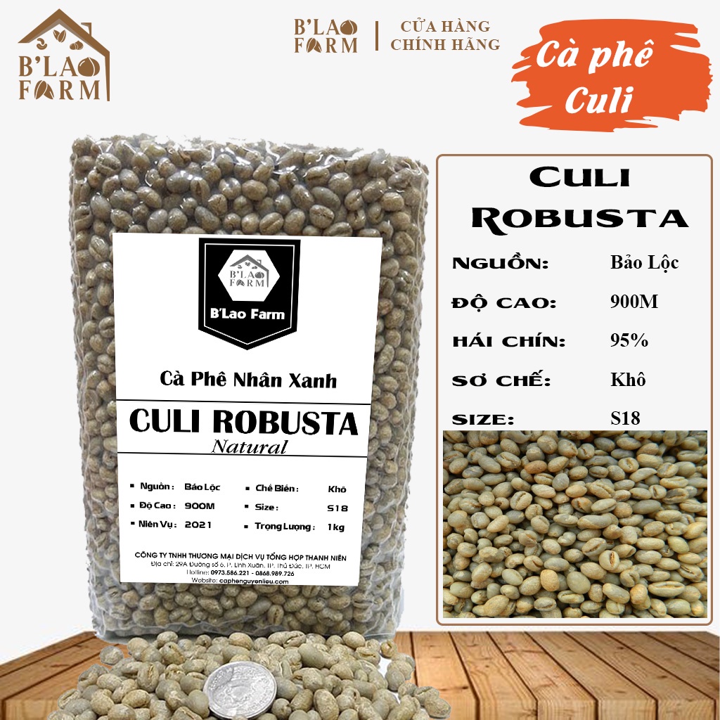 [Cà Phê Nhân Xanh Culi Robusta] 𝑮𝒊𝒂́ 𝑺𝒊̉  Cafe Sạch - Trái Chín Cây trên 98% - Coffee Nhân Sống Culi Robusta - Túi 1kg