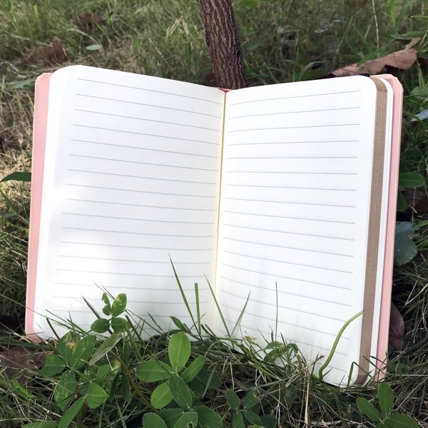 Sổ Tay/ Notebook: Phong Cách Sống – Spring Is Coming (Bìa Cứng)