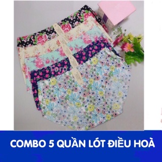 Combo 5 quần lót thông hơi victoria