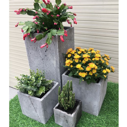 Combo 4 chậu trồng cây hình vuông đá ong xám tự nhiên trồng hoa ban công