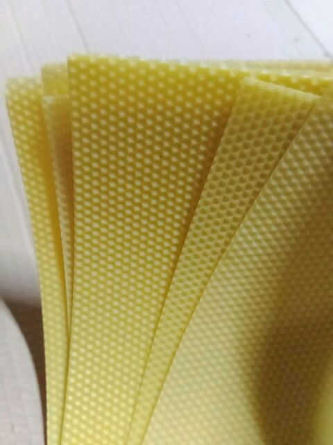 10 Miếng Chân Tầng Ong Nội Cầu 42 Từ Sáp Ong Nguyên Chất