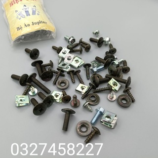 Bộ ốc vít bắt kẹp nhựa dàn áo xe Jupiter