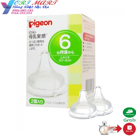 Núm ti Pigeon nội địa Nhật cổ rộng