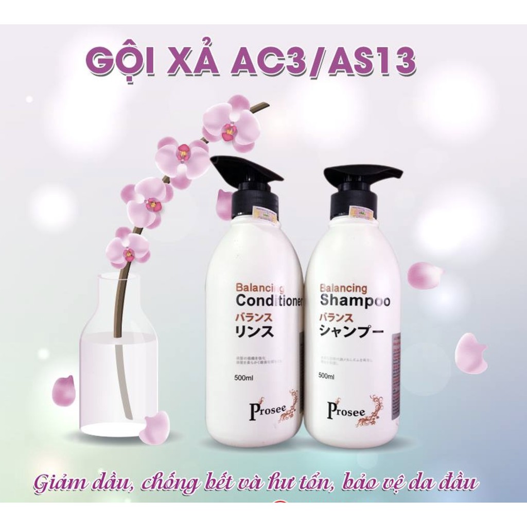 🌼Chính hãng 🌺 Cặp gội xả dành cho tóc gàu, dầu, nhanh bết, và hay rụng tóc Prosee Balancing AS13/AC13 500mlx2 | BigBuy360 - bigbuy360.vn