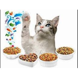 Thức Ăn Cho Mèo Hạt Me-o Kitten Vị Cá Biển Loại 1.1kg - Nahi Shop