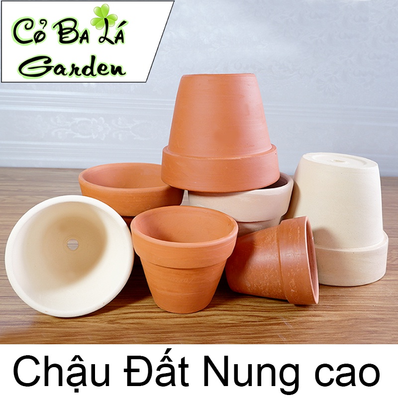 Chậu Đất Nung Bát Tràng,Trồng Sen Đá Và Xương Rồng,phù hợp với các cây mini