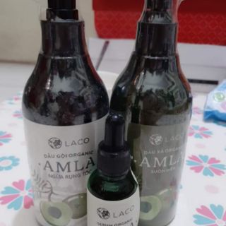 Dầu gội đầu Laco ( 1 Chai )