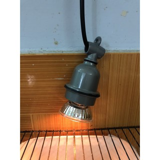 Đèn sưởi ấm cho vẹt/hamster