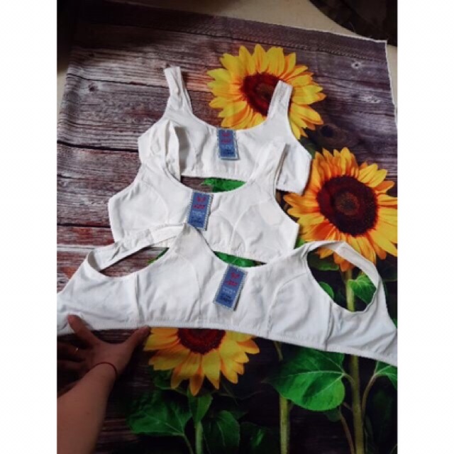 Áo bra dây bản to chất cotton gen mỡ lưng định hình vòng ngực hàng ko có đệm