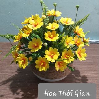 Hoa đất sét