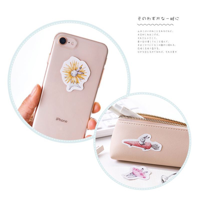 Bộ 45 Sticker Thỏ Cà Rốt E77