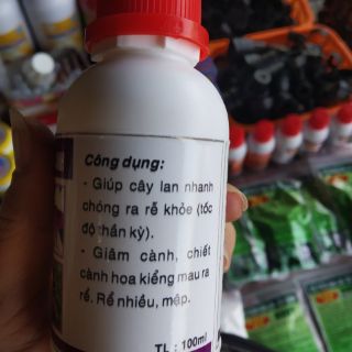 WHITE ROOT - SIÊU KÍCH RỄ BÁO HỶ 100ml