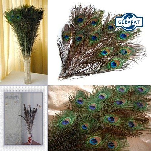 Set 10 Lông Công Nhiều Màu Sắc Dùng Để Trang Trí Tiệc Độc Đáo
