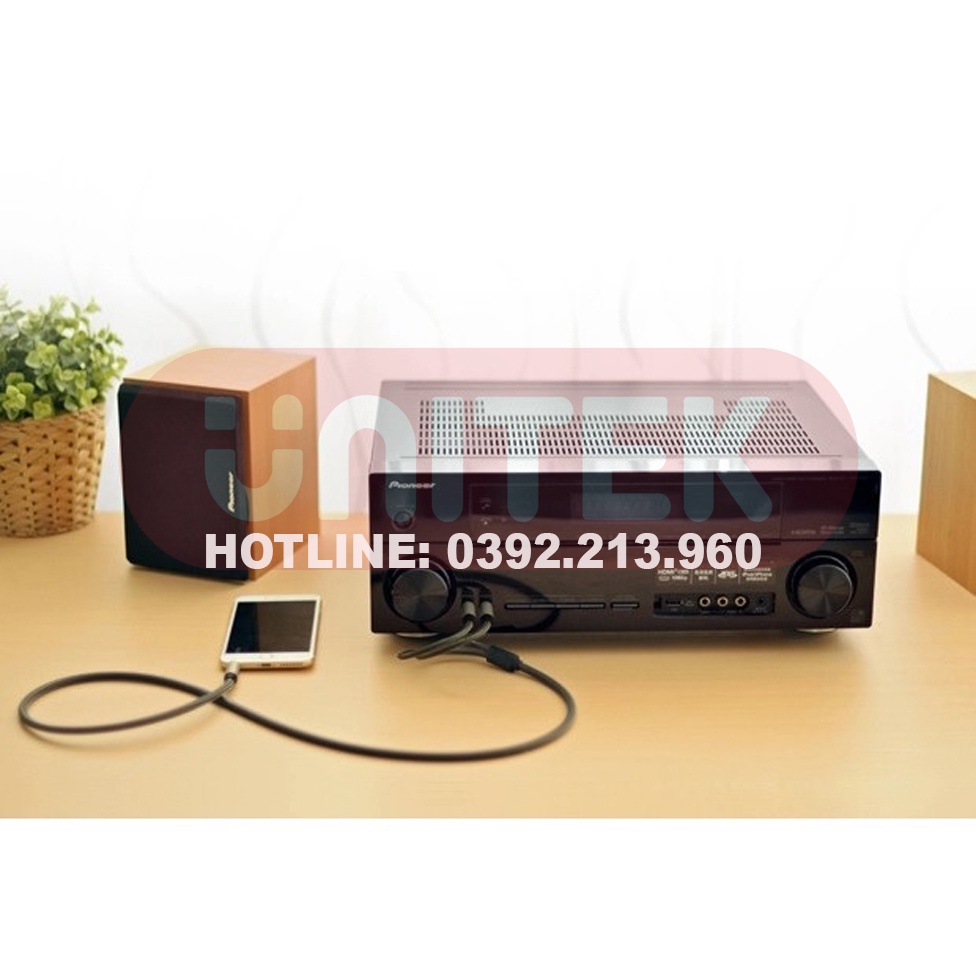 Cáp Âm Thanh 6.5mm To 6.5mm Mạ Vàng Dài 1.5m/3m Urgeen 10637/10639