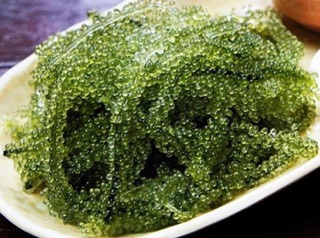 RONG NHO TÁCH NƯỚC