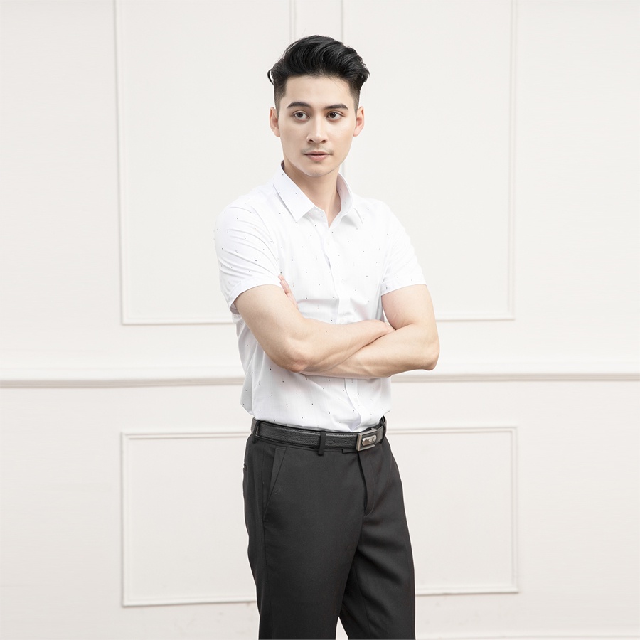 Áo sơ mi ngắn tay nam Aristino - ASS099S9