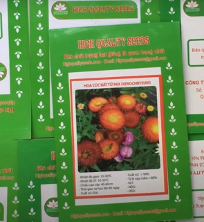 Hạt Giống Hoa Cúc Bất Tử
