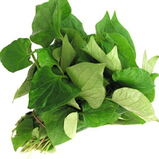 [HCM] Bột Rau Diếp Cá Nguyên Chất 100g ( Pha Uống, Đắp Mặt Nạ )