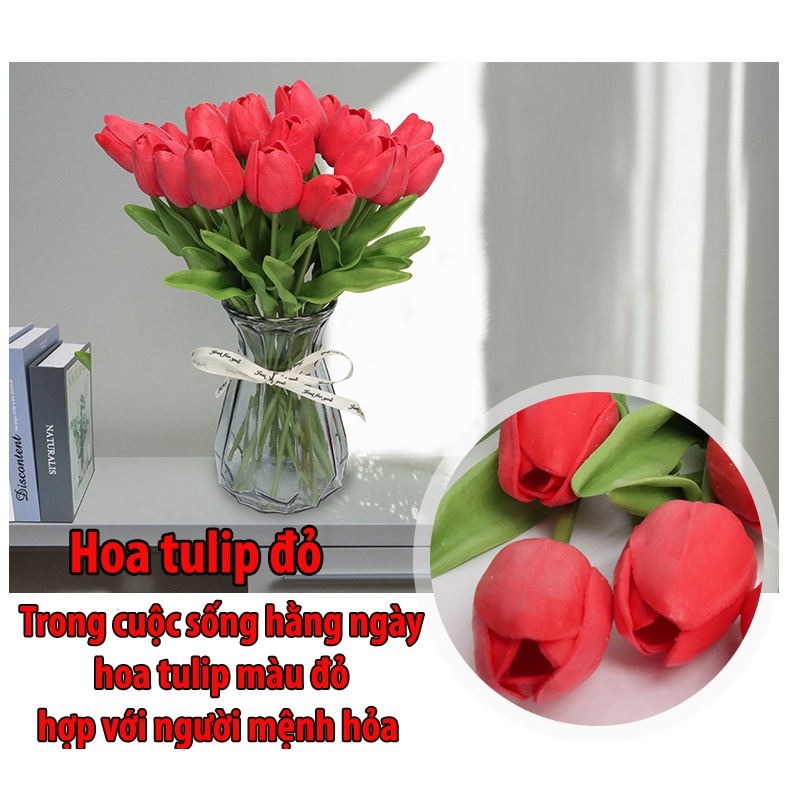 Hoa Tulip decor để bàn trang trí