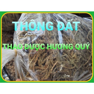 1 Kg Cây Thông Đất Khô, Sạch, Thơm