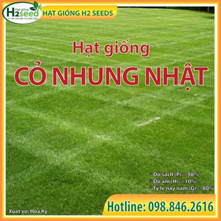 Hạt Giống Cỏ Nhung Nhật - Gói 10g - Cỏ Thảm Sân Vườn