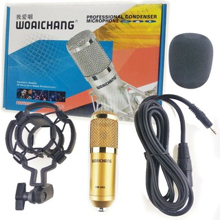 Micro Thu Âm WoAiChang BM900