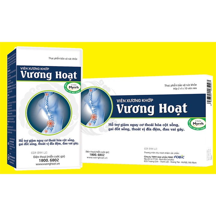 Viên xương khớp Vương Hoạt - Giảm thoái hóa cột sống, thoát vị địa đệm - Victory Pharmacy