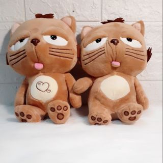 Mèo lười Dinga siêu đáng yêu