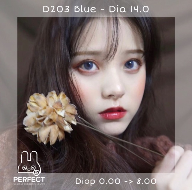 Link 2 (Giá 1 Chiếc) 14.0 (0.00 -> 8.00) Lens D203 Blue - Kính Áp Tròng