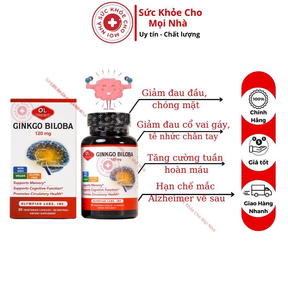 Viên Uống Bổ Não Olympian Labs Ginkgo Biloba 120 mg.Tăng Cường Tuần Hoàn Não,Tăng Trí Nhớ