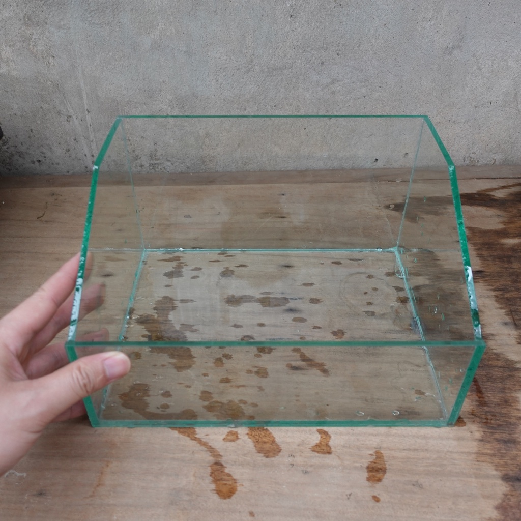 Bể bán cạn 27 x 21 cm, thiết kế đẹp, kính 5mm chắc chắn