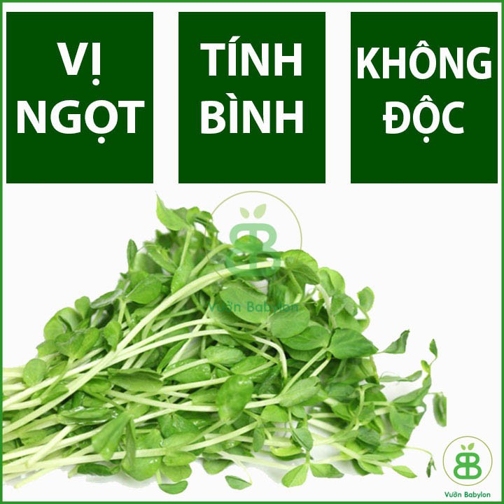 Hạt Giống Rau Mầm Đậu Hà Lan - Hạt Giống Mầm Đậu Hà Lan 50gr